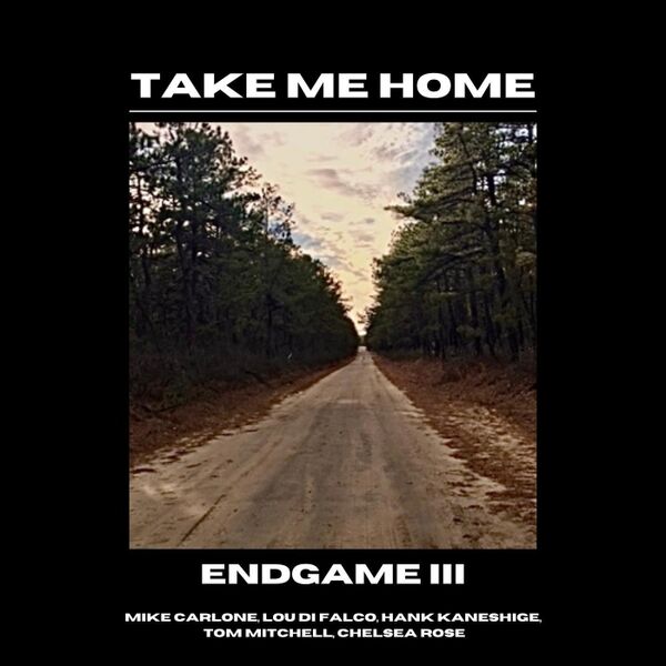 Cover art for Endgame III: Take Me Home